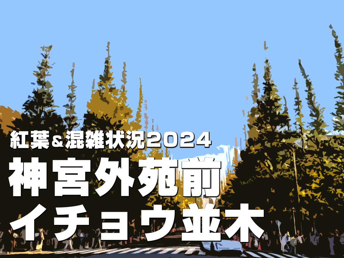 2024年神宮外苑いちょう並木の紅葉と混雑状況